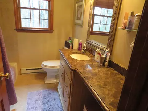388 Winter St, Hanson, MA 02341 photo 19