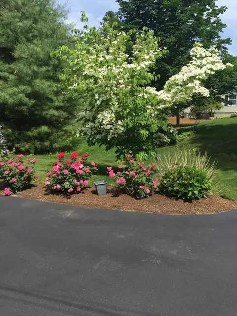 Exterior - 4 Cedar St, Walpole, MA 02081 photo 11 of 14