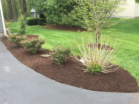 Exterior - 4 Cedar St, Walpole, MA 02081 photo 10 of 14