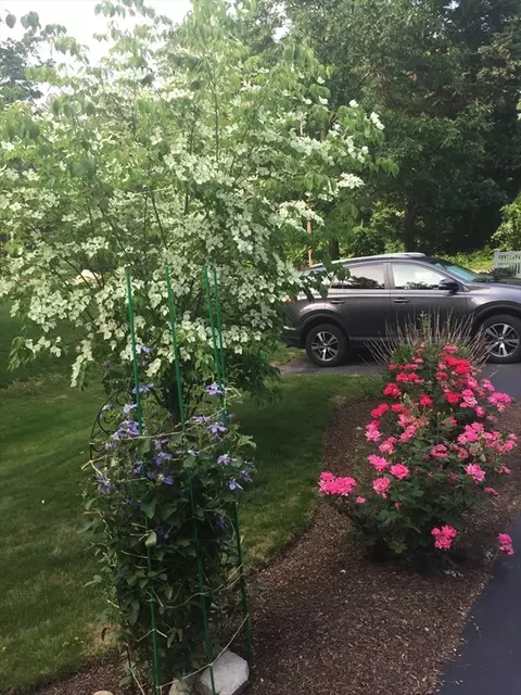 Exterior - 4 Cedar St, Walpole, MA 02081 photo 13 of 14