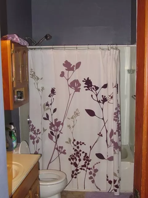 Bath - 9 Greendale Ave, Worcester, MA 01606 photo 2 of 3