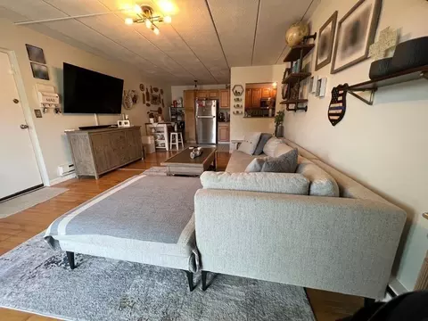 Living - 30 High St #101, Dedham, MA 02026 photo 3 of 4