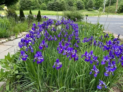 Exterior - 233 Park St, Easthampton, MA 01027 photo 6 of 9