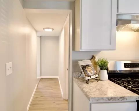 Other - 29 Brickett St, Springfield, MA 01119 photo 1 of 19