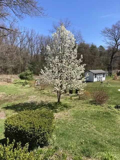 51 Phelps St, Easthampton, MA 01027 photo 15
