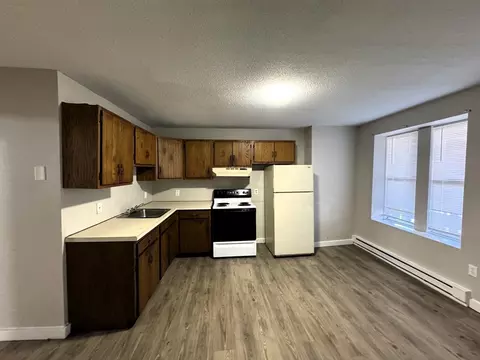 828 Chicopee St, Chicopee, MA 01013 photo 4