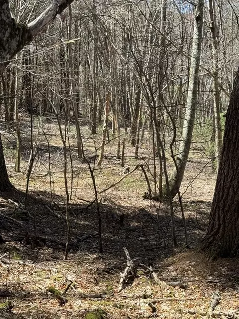 660 Mendon Rd #LOT 4, Northbridge, MA 01588
