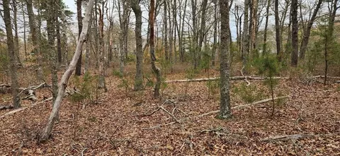 0 Great Fields Rd, Brewster, MA 02631 photo 7