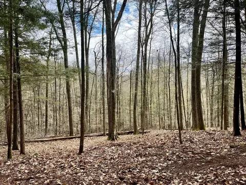 0 Packard Rd, Cummington, MA 01026