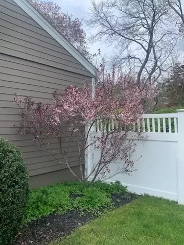 Exterior - 45 Brewster Rd, Hingham, MA 02043 photo 10 of 10