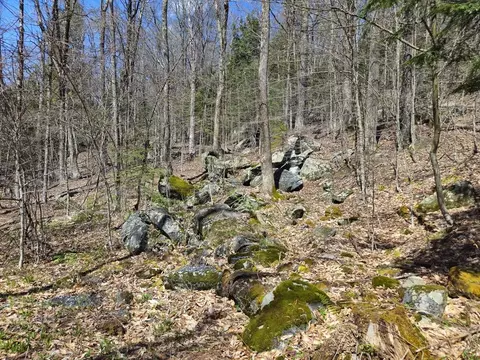 544 Spruce Corner Rd, Ashfield, MA 01330 photo 27