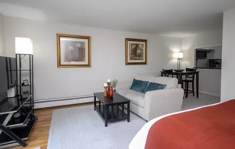 121 Tremont St #419, Boston, MA 02135
