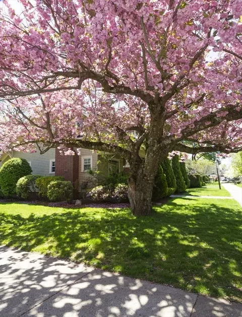 7 Greenleaf Ter, Worcester, MA 01602 photo 7