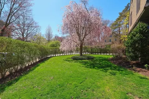 Exterior - 37 Evans Rd, Brookline, MA 02445 photo 5 of 11