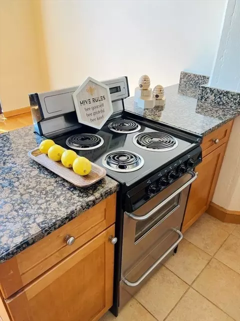 12 Stoneholm St #527, Boston, MA 02115