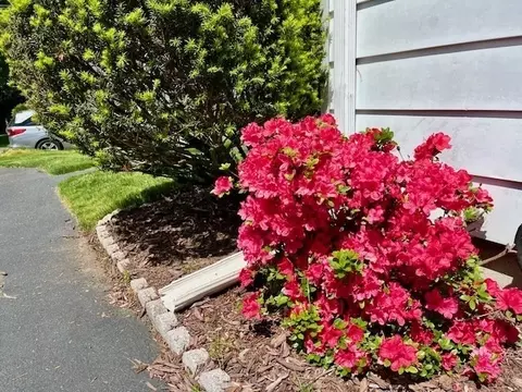 83 Pilgrim Rd, Springfield, MA 01118 photo 38