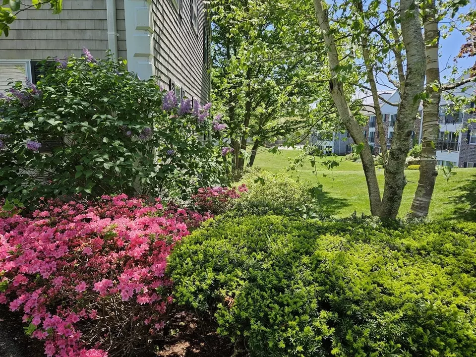 Exterior - 66 Highview Dr #66, Sandwich, MA 02563 photo 13 of 13