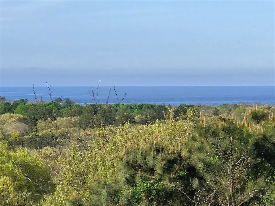 View/Area - 66 Highview Dr #66, Sandwich, MA 02563 photo 1 of 3