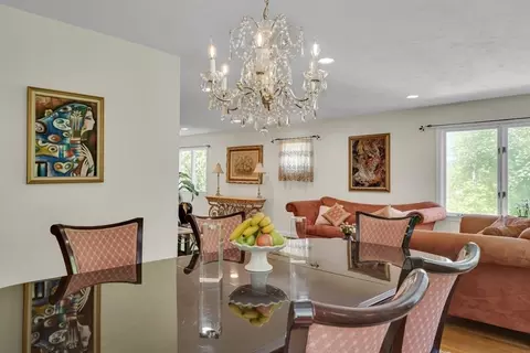 55 Clark Rd, Brookline, MA 02445 photo 3