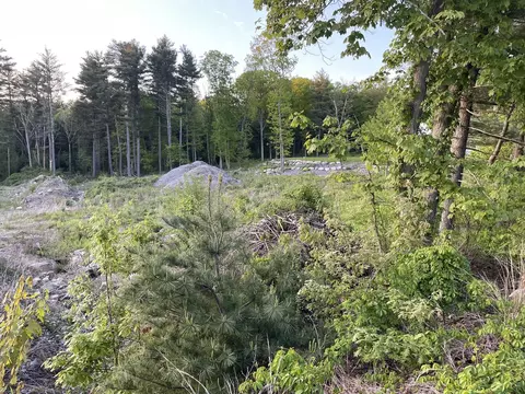 lot4 Foxboro Rd, Wrentham, MA 02093