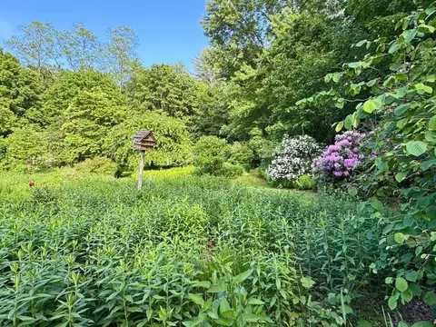 89 Wanamaker Rd, Northfield, MA 01360 photo 37