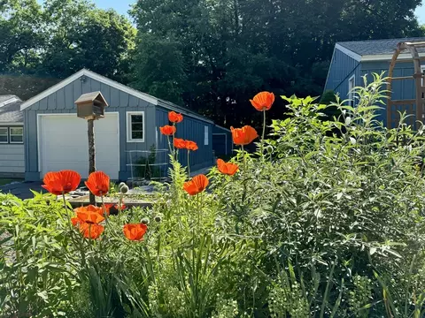 9 Willard Rd, Ashburnham, MA 01430 photo 37
