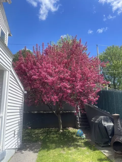 Exterior - 24 Prentice St, Worcester, MA 01604 photo 3 of 3