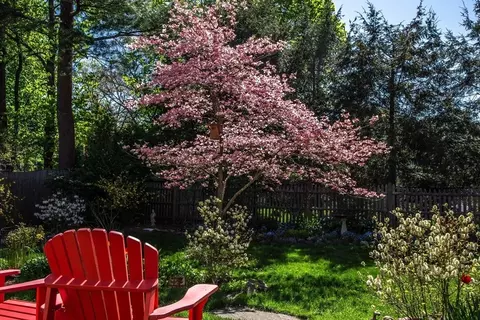 Other - 16 Beverly Rd, Natick, MA 01760 photo 5 of 5