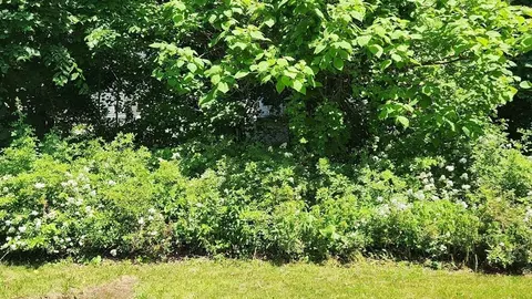 Exterior - 99 Prospect St, Hardwick, MA 01031 photo 11 of 14