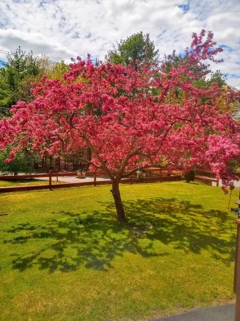 39 Washington Ave, Athol, MA 01331 photo 29