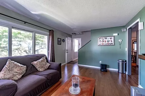 299 Morton St, Springfield, MA 01119 photo 20