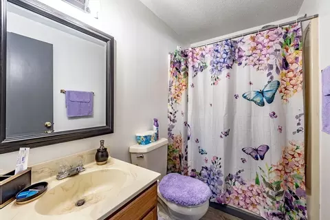 299 Morton St, Springfield, MA 01119 photo 18