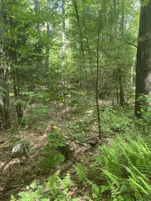 Lot Five Old Belchertown Rd, Ware, MA 01082 photo 6