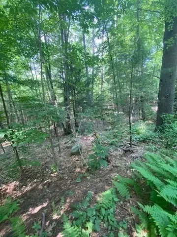 Lot Five Old Belchertown Rd, Ware, MA 01082 photo 7