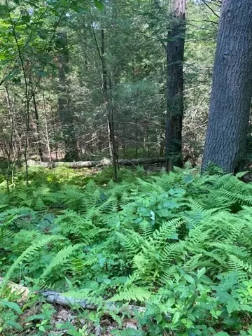 Lot Five Old Belchertown Rd, Ware, MA 01082 photo 8