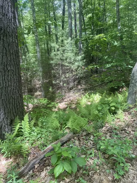 Lot Five Old Belchertown Rd, Ware, MA 01082 photo 3
