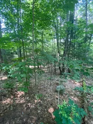 Lot Five Old Belchertown Rd, Ware, MA 01082 photo 2