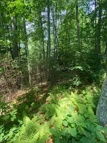 Lot Five Old Belchertown Rd, Ware, MA 01082 photo 11