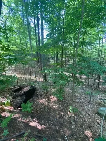 Lot Five Old Belchertown Rd, Ware, MA 01082