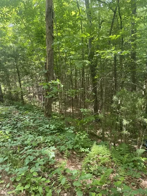 Lot Five Old Belchertown Rd, Ware, MA 01082 photo 4