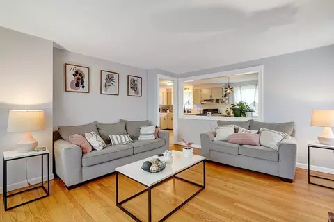 Living - 119 Feltham Rd, Springfield, MA 01118 photo 1 of 4