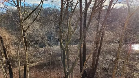 1053 Main St, Warren, MA 01083 photo 6