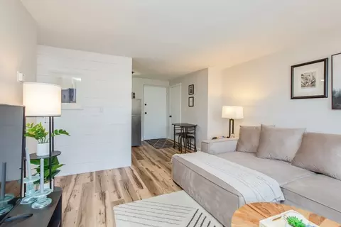 Living - 15 Staples Ave #46, Everett, MA 02149 photo 7 of 10