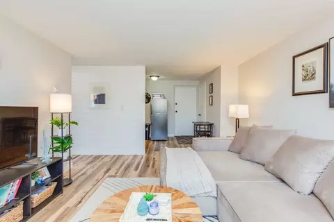 Living - 15 Staples Ave #46, Everett, MA 02149 photo 8 of 10