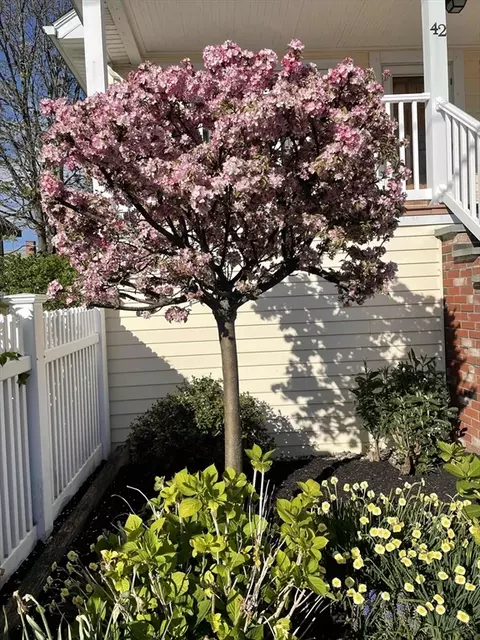 Exterior - 42 Massasoit Ave, Hull, MA 02045 photo 2 of 4