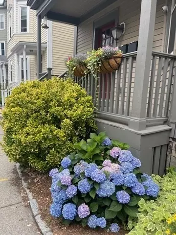 35 White Pl #1, Brookline, MA 02445