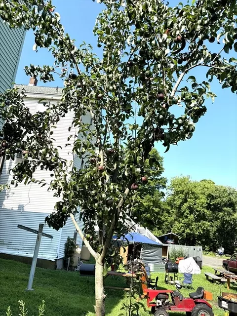 84 W Main St, Ware, MA 01082 photo 4