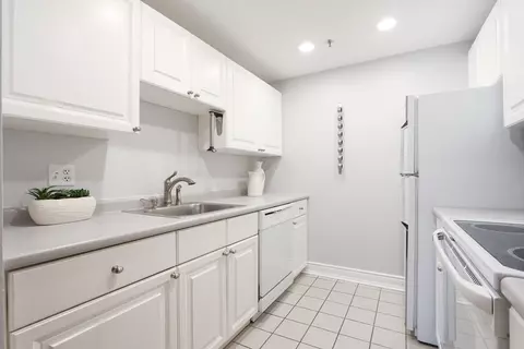 10 Charlesgate E #403, Boston, MA 02215 photo 10