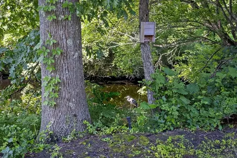 21 Watson Ln, Woburn, MA 01801 photo 42