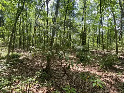 91 Burbank Rd #LOT 1, Sutton, MA 01590 photo 5